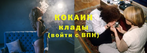 дмт Абаза