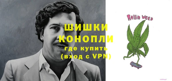 дмт Абаза