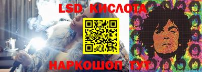 сатива Новозыбков