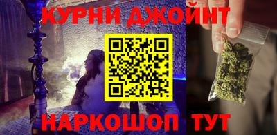 сатива Новозыбков