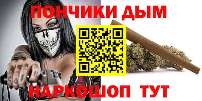 сатива Новозыбков