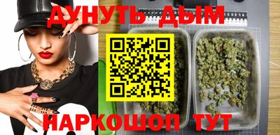 сатива Новозыбков