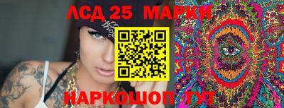 сатива Новозыбков
