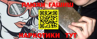 сатива Новозыбков