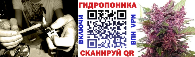 omg как войти  Симферополь  Конопля конопля 